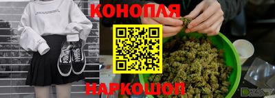 молекула духа Заводоуковск