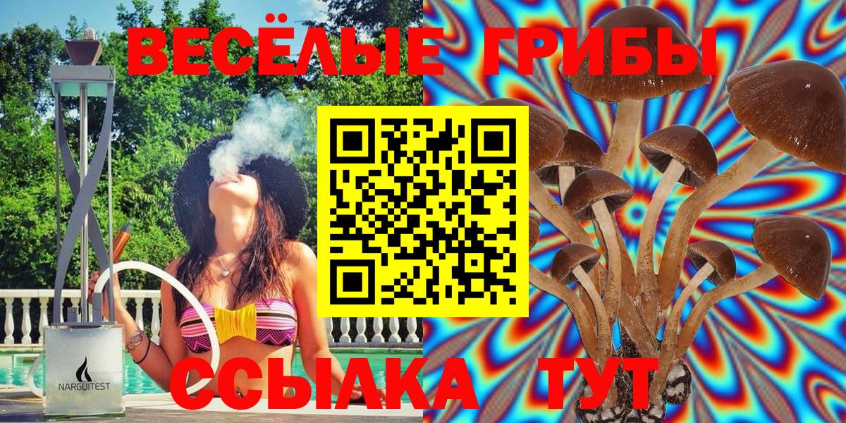 Кулебаки  Псилоцибиновые грибы Psilocybe  Вход с VPN 