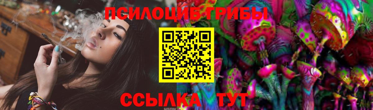 Галлюциногенные грибы Psilocybe Кулебаки