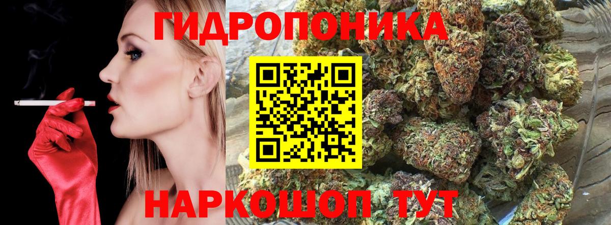 Шишки марихуана план  Шишки марихуана план  Канабис LSD WEED  Вход с VPN  Кулебаки  Бошки марихуана Ganja 